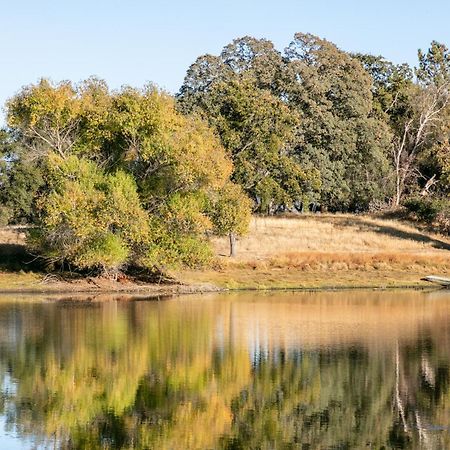 Rolling Oaks Ranch - 200 Acres Of Lakeside Beauty & Countryside Serenity ماريبوسا المظهر الخارجي الصورة