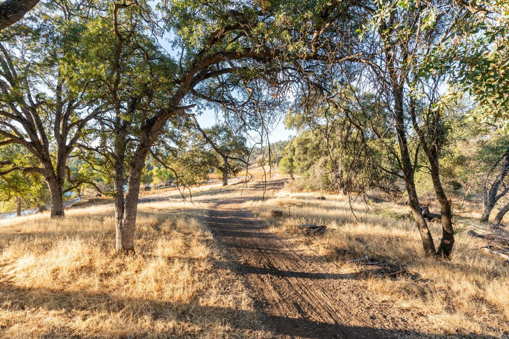 Rolling Oaks Ranch - 200 Acres Of Lakeside Beauty & Countryside Serenity ماريبوسا المظهر الخارجي الصورة