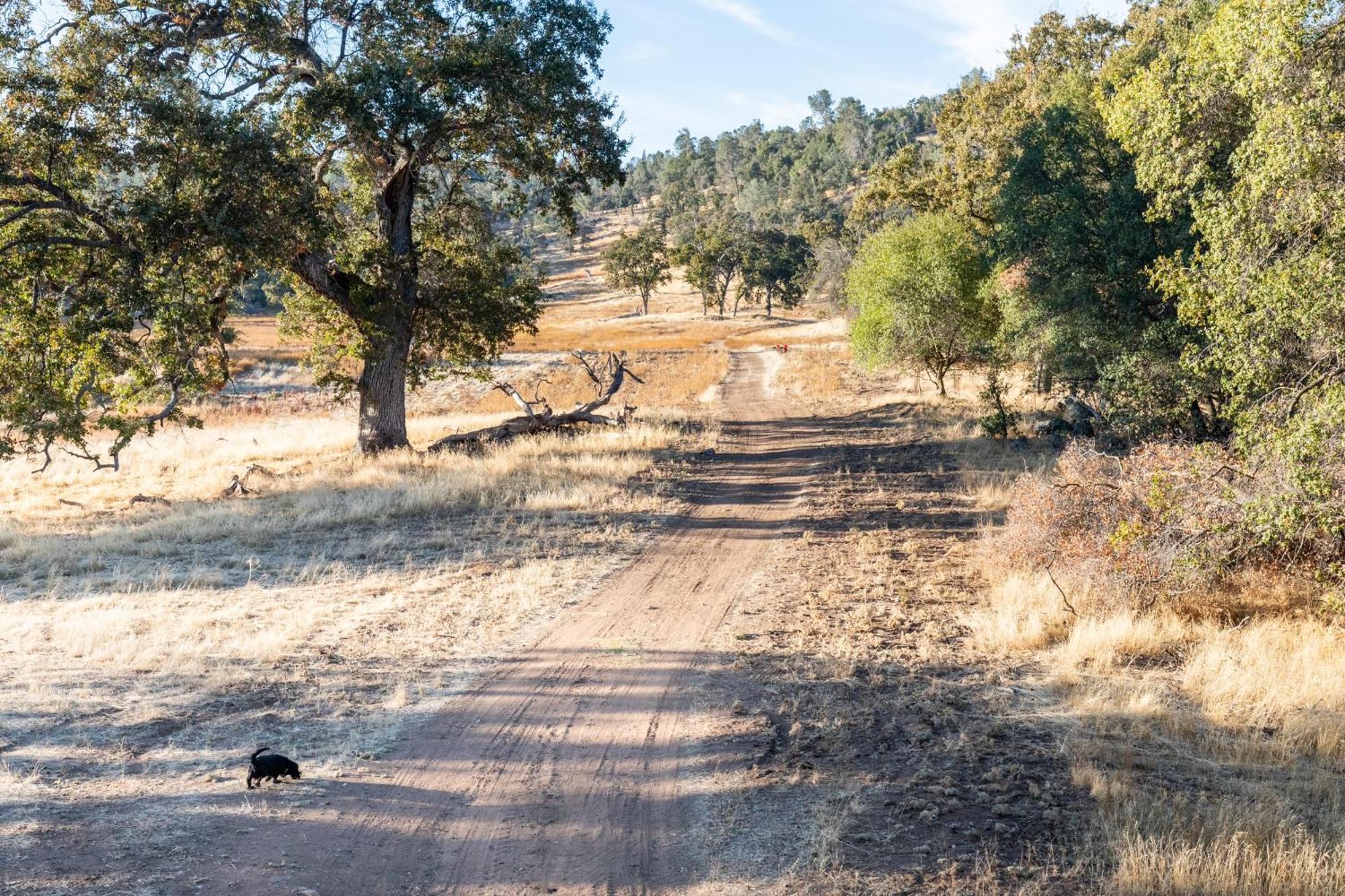 Rolling Oaks Ranch - 200 Acres Of Lakeside Beauty & Countryside Serenity ماريبوسا المظهر الخارجي الصورة