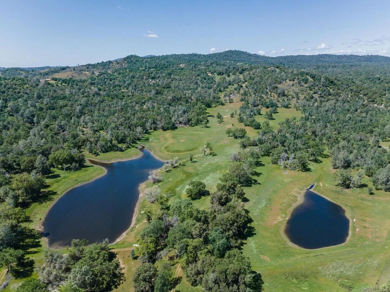 Rolling Oaks Ranch - 200 Acres Of Lakeside Beauty & Countryside Serenity ماريبوسا المظهر الخارجي الصورة