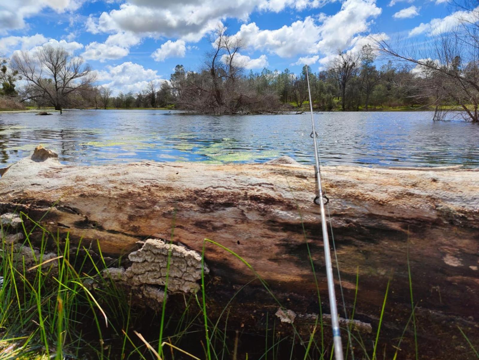 Rolling Oaks Ranch - 200 Acres Of Lakeside Beauty & Countryside Serenity ماريبوسا المظهر الخارجي الصورة