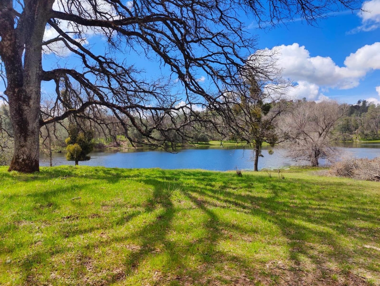Rolling Oaks Ranch - 200 Acres Of Lakeside Beauty & Countryside Serenity ماريبوسا المظهر الخارجي الصورة